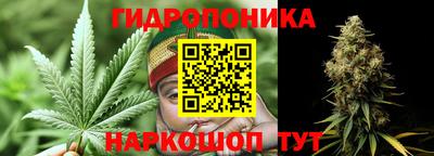 шишки Бузулук